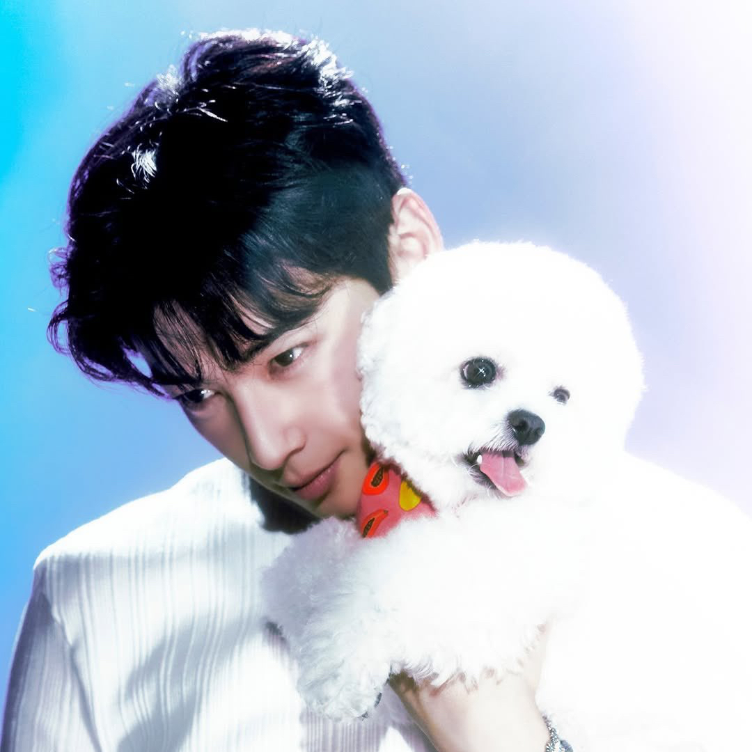 Recent activity shot of Cha Eunwoo