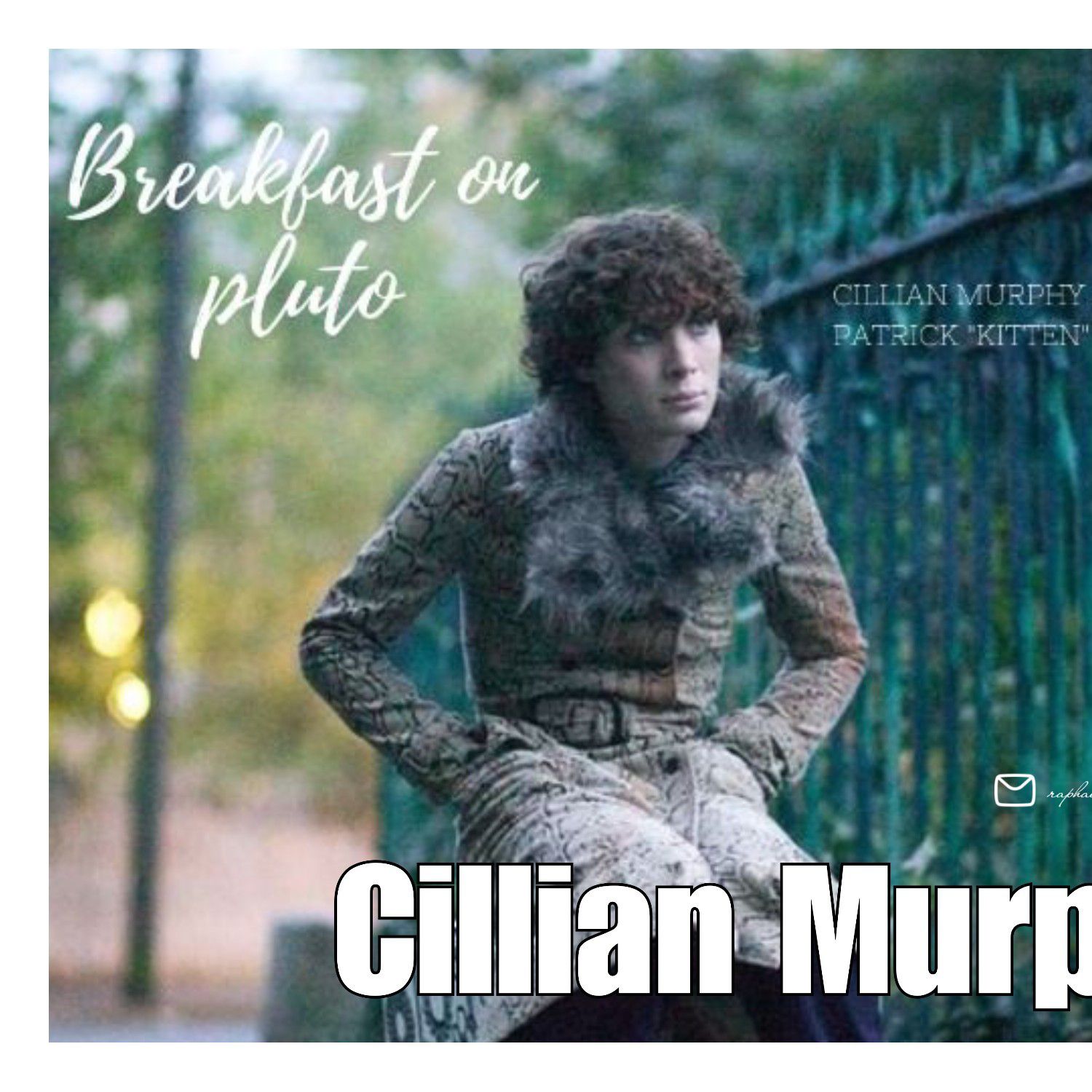 A moment captured by a fan of Cillian Murphy