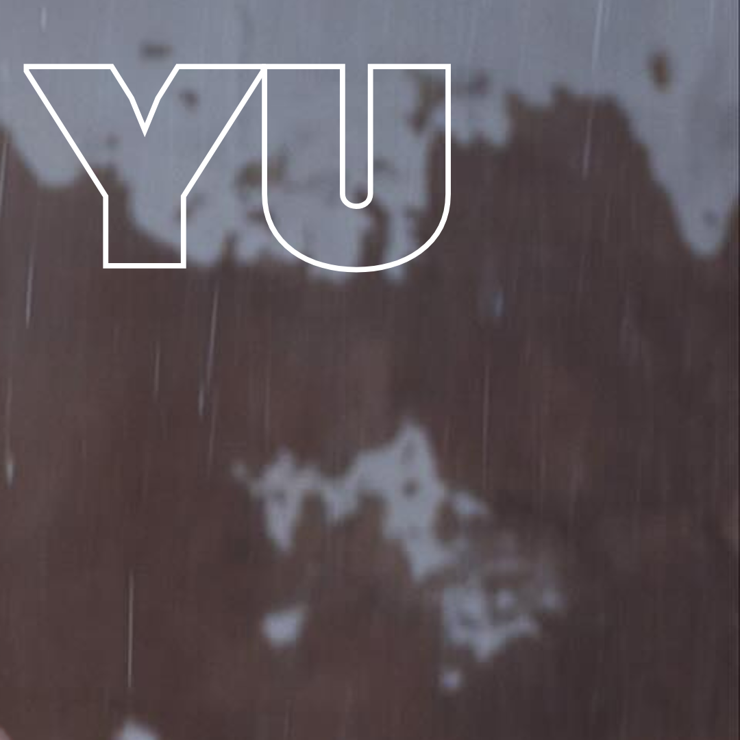 A moment captured by a fan of Esther Yu