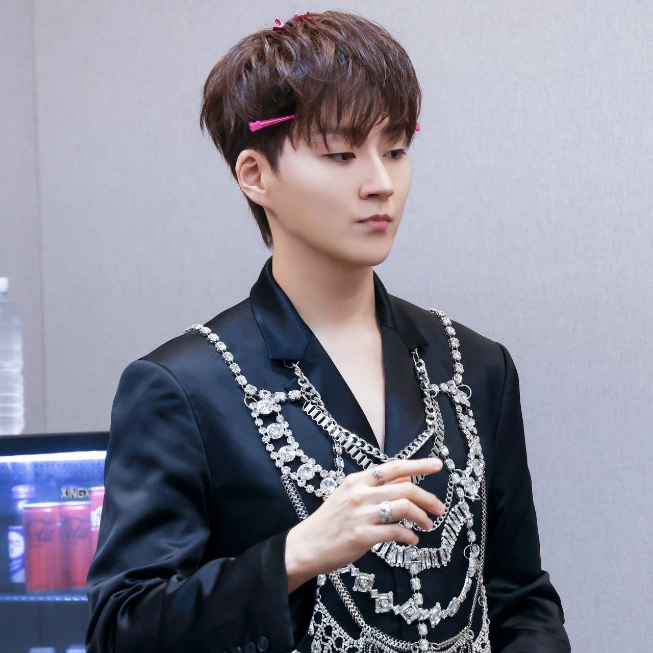 Latest photo of Forestella