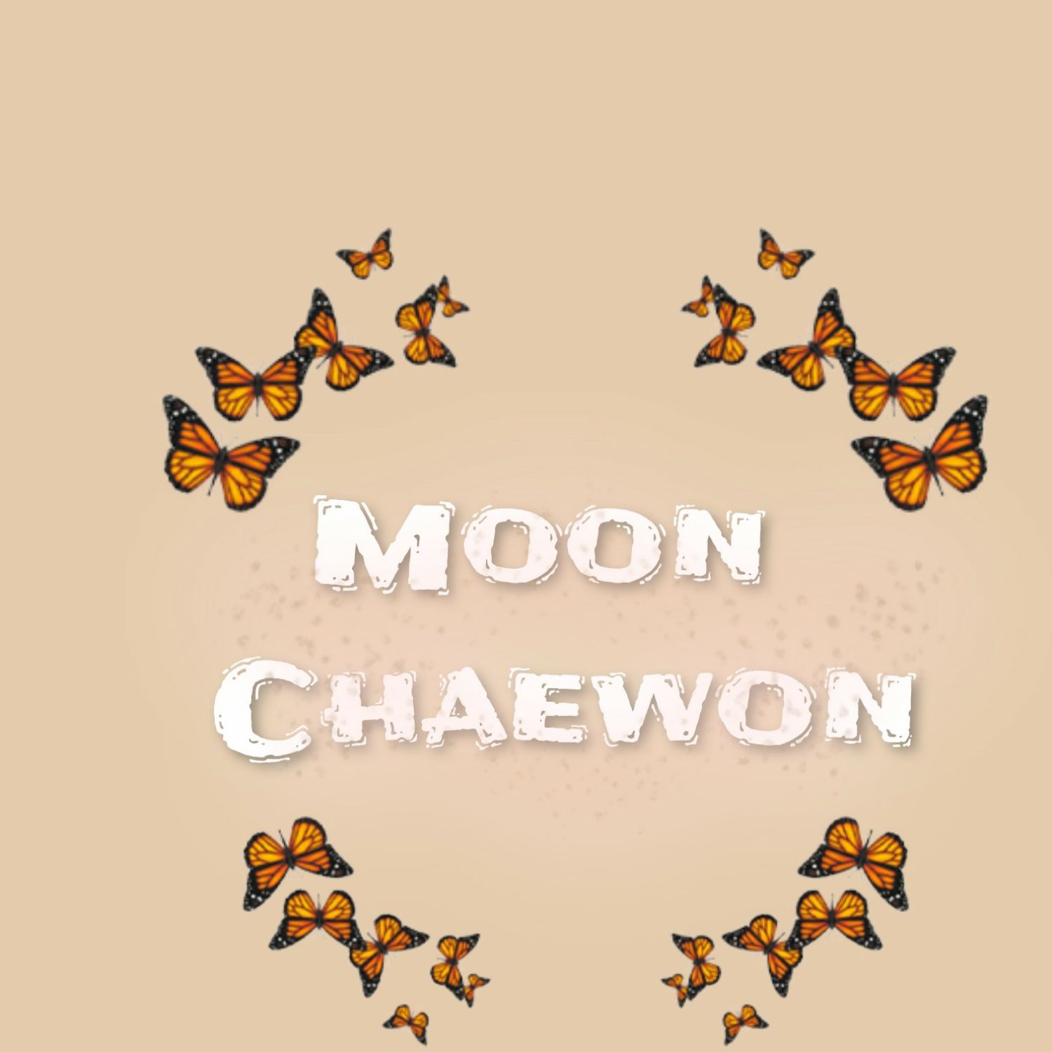 Latest photo of Moon Chaewon