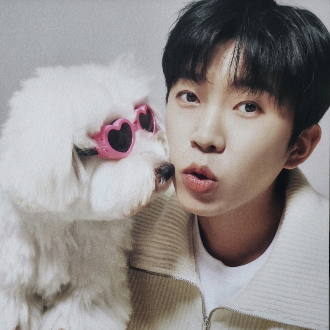 임영웅 팬이 찍은 순간