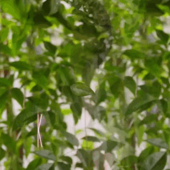 粉絲拍下的金宣虎瞬間