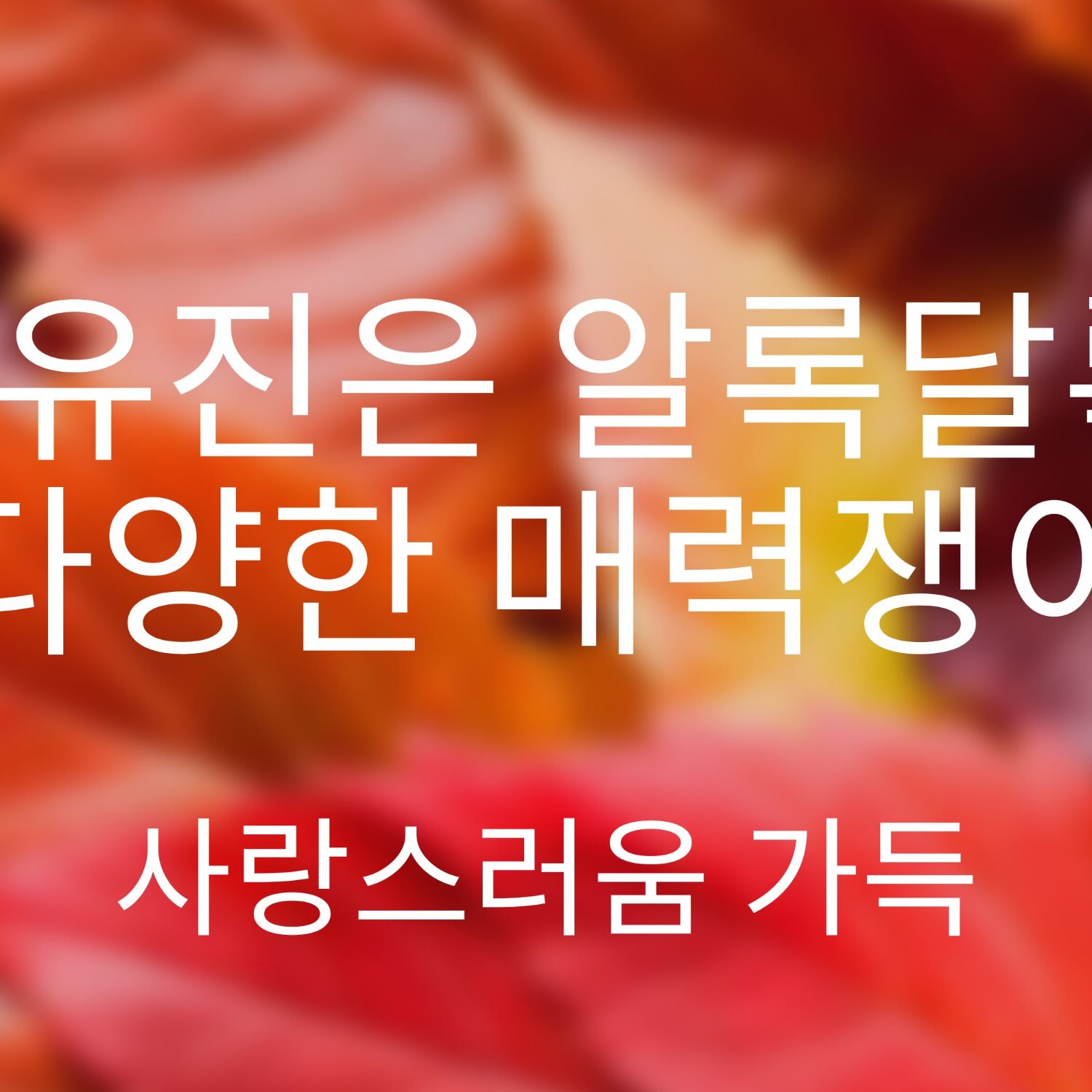 오유진의 비하인드 컷