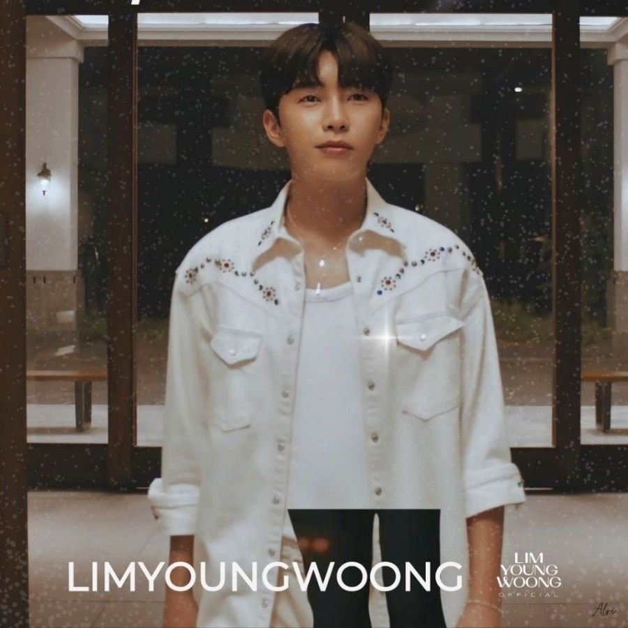 임영웅 팬이 찍은 순간