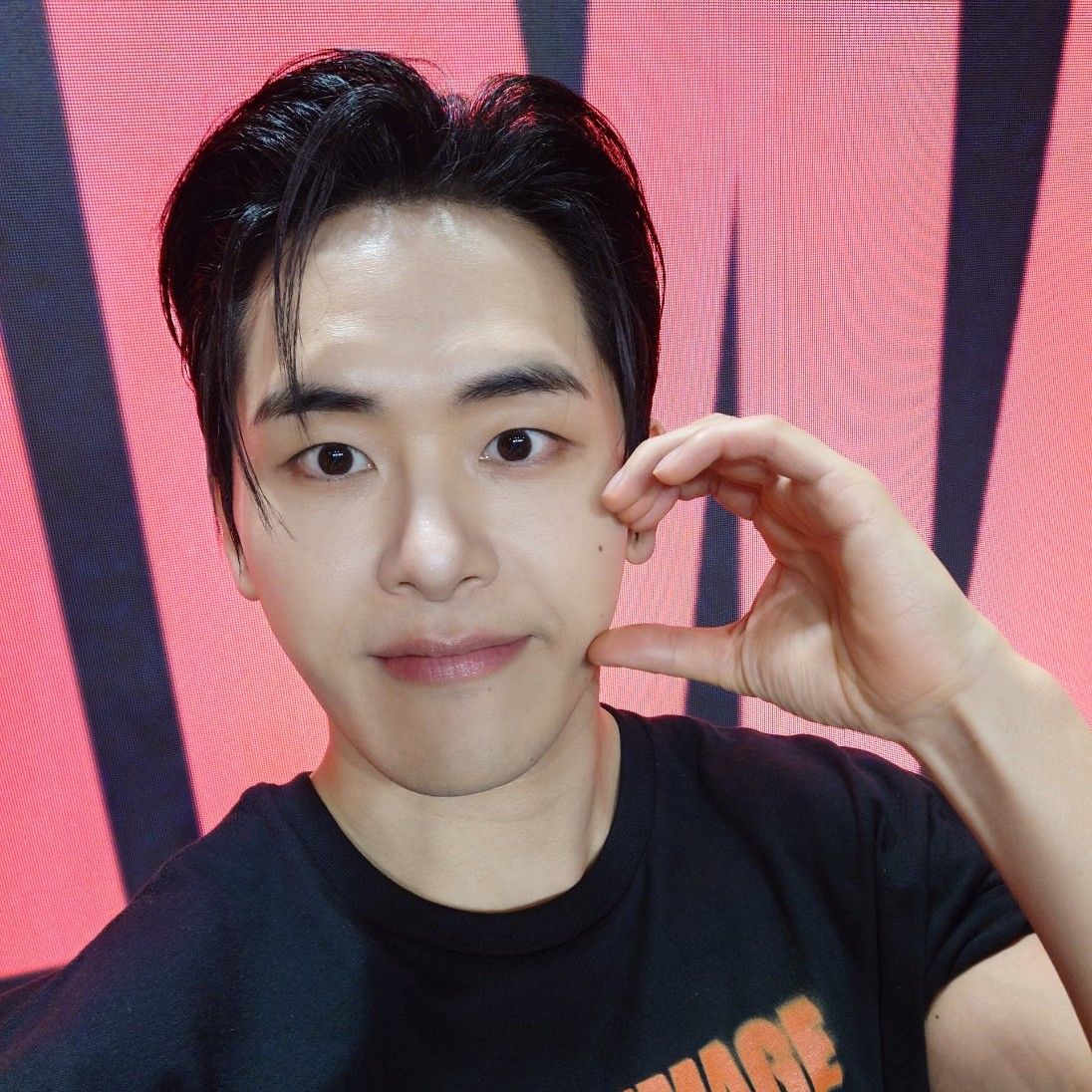 A moment captured by a fan of Hoya