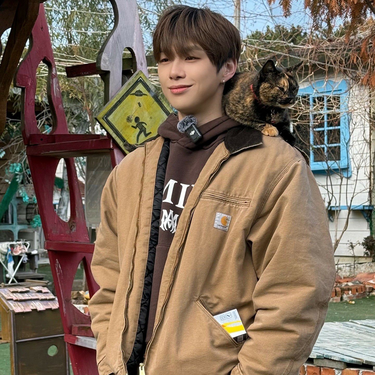 Latest photo of Secret Garden