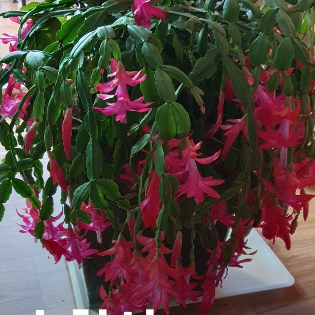 Choi Jaemyeong的幕後花絮
