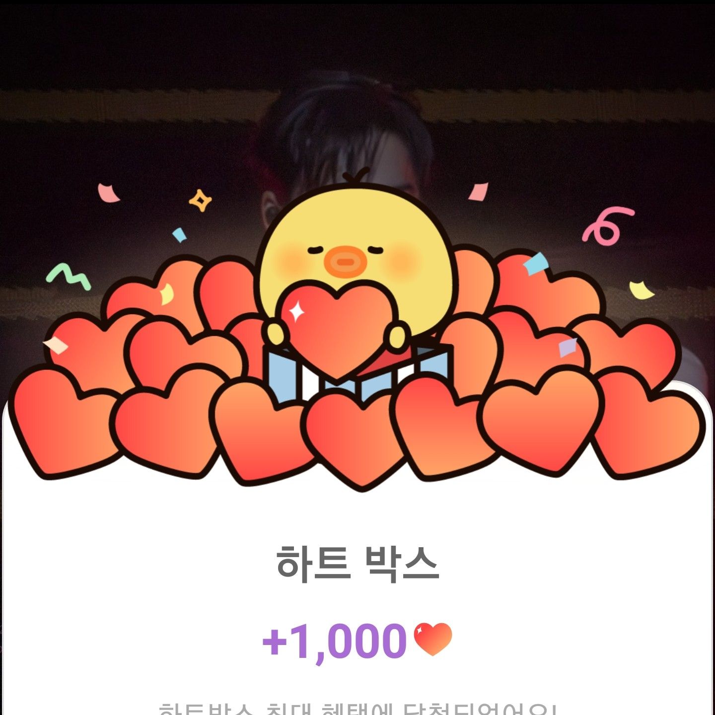 金熙栽的幕后花絮