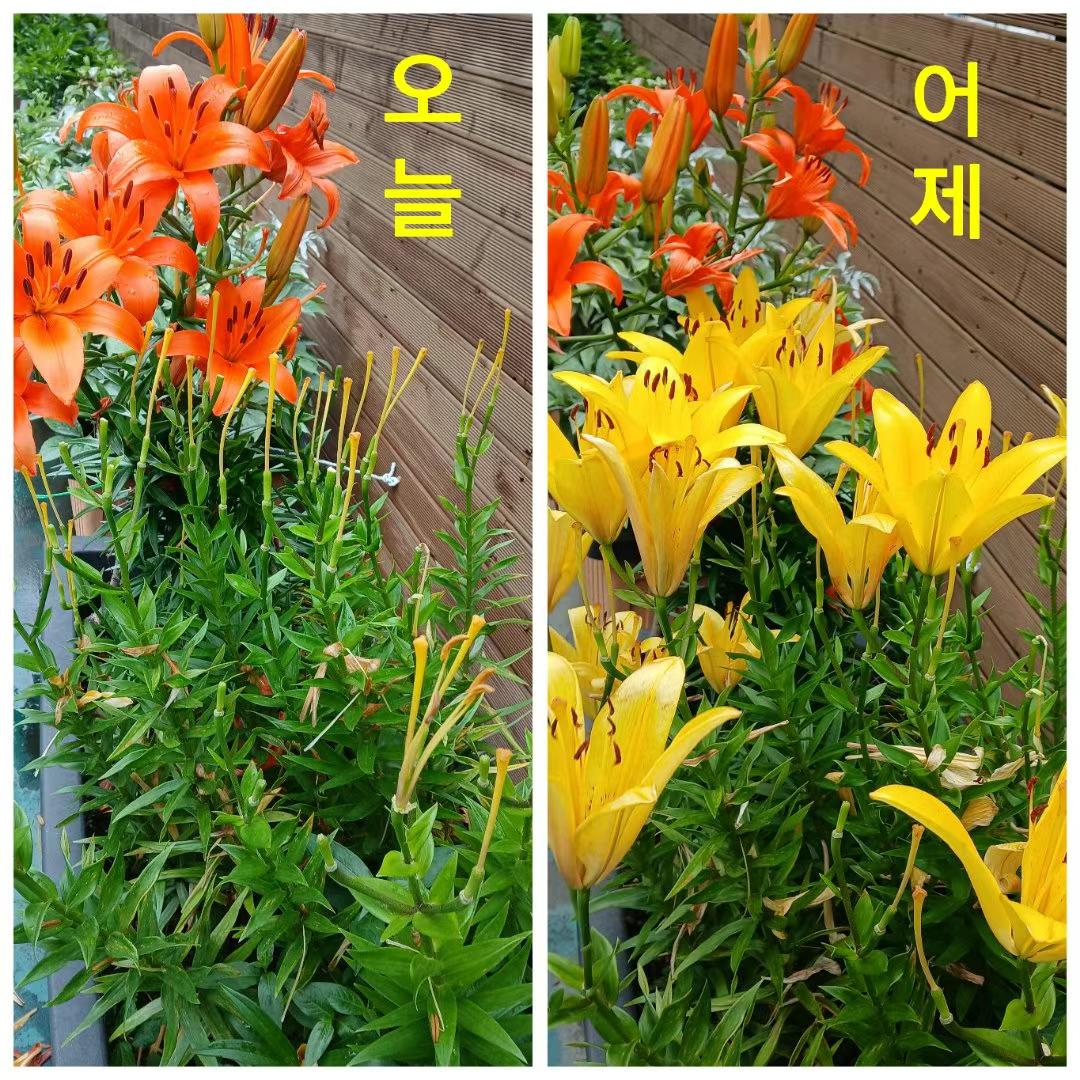 朴瑞鎮的最新照片