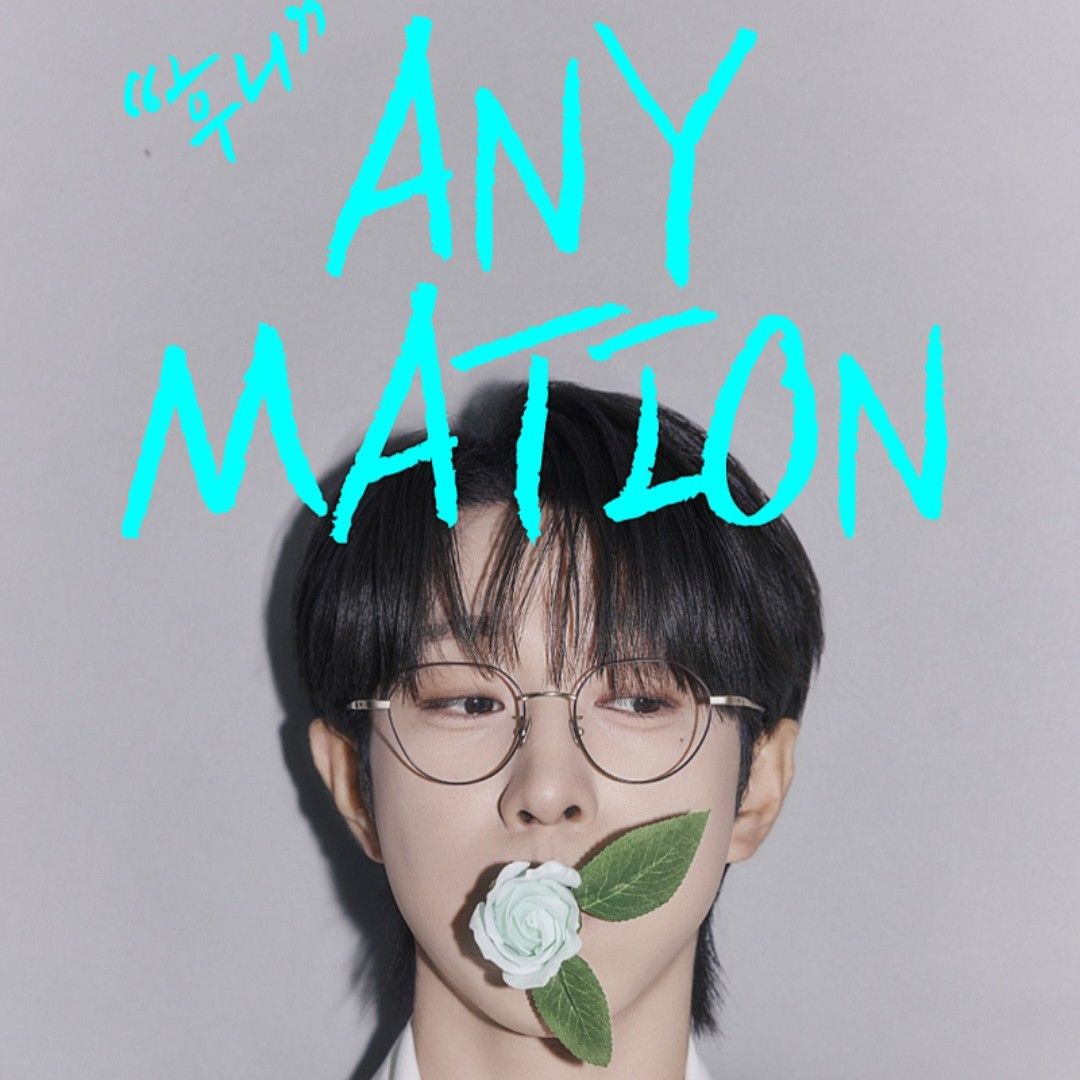 안성훈의 최신 사진