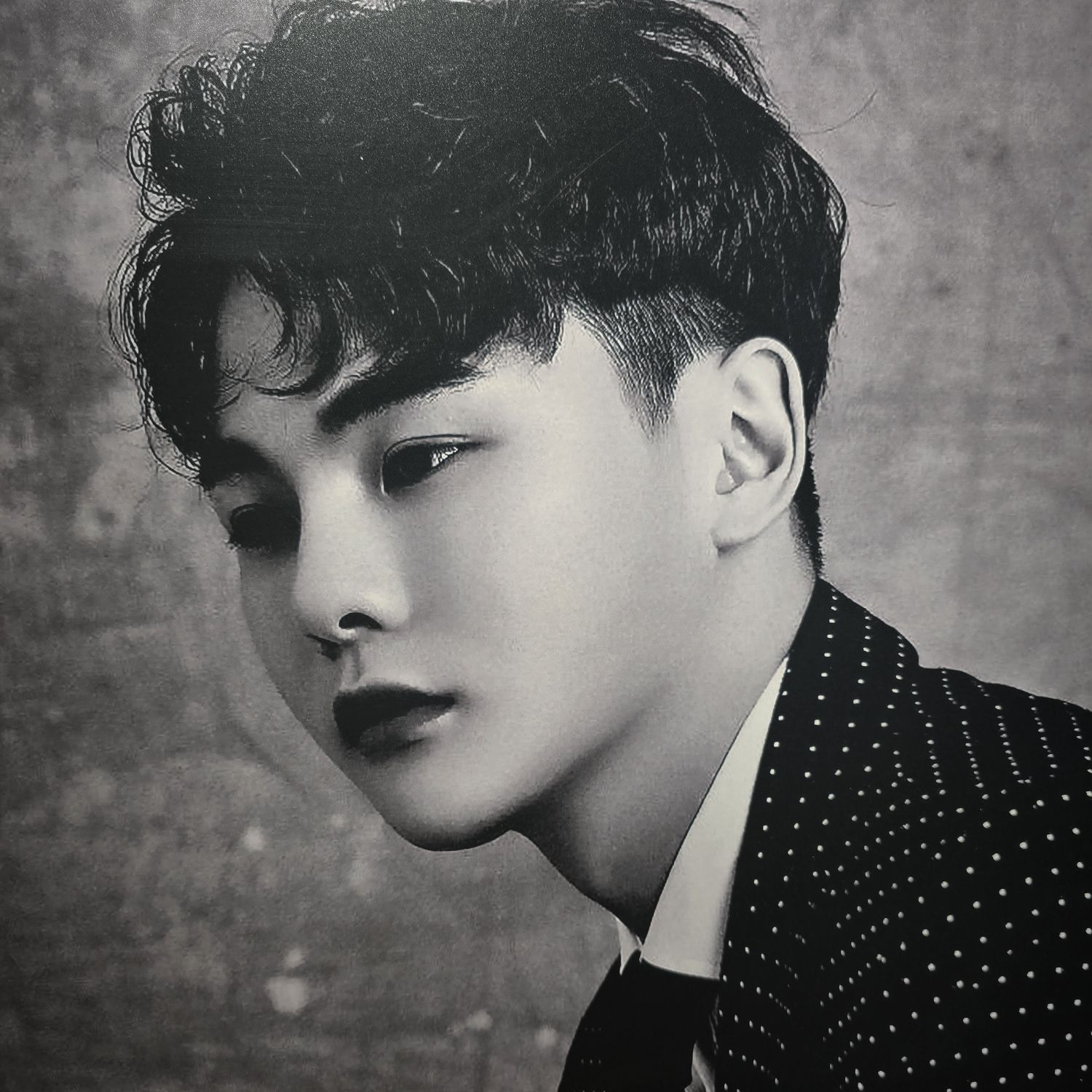 박서진 팬이 찍은 순간