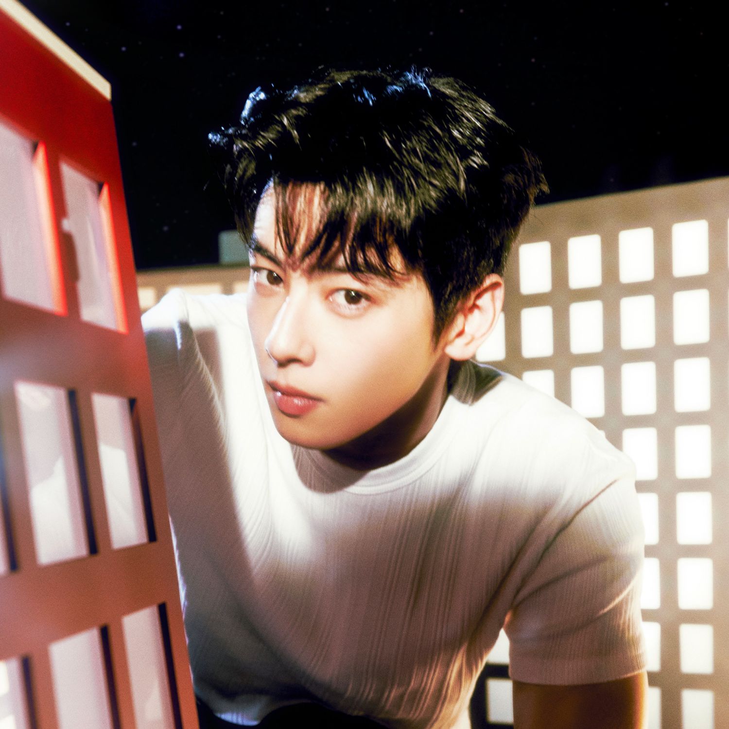 ファンが撮影したチャ・ウヌの瞬間