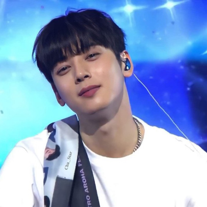 A moment captured by a fan of Cha Eunwoo