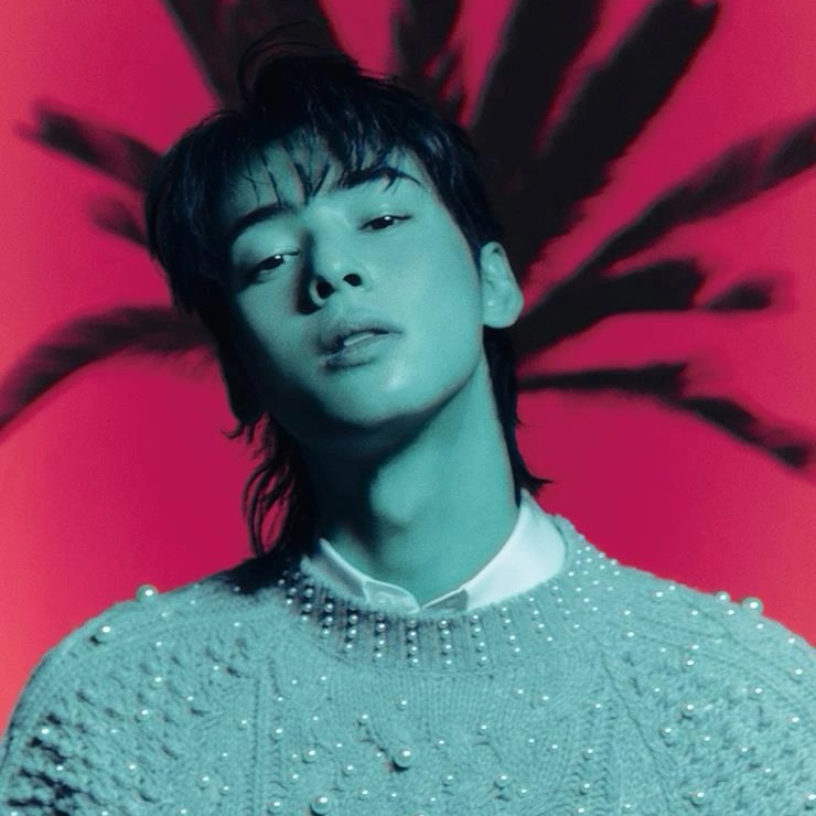 Latest photo of Cha Eunwoo