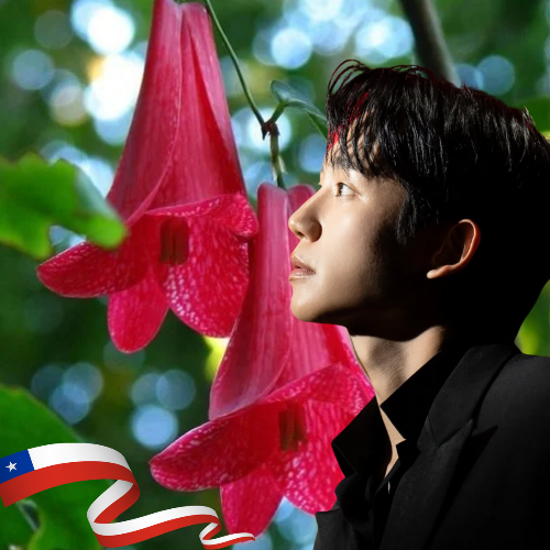 Recent activity shot of Jung Haein