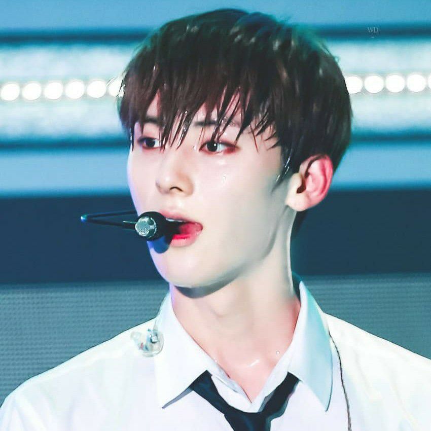 A moment captured by a fan of Hwang Minhyun