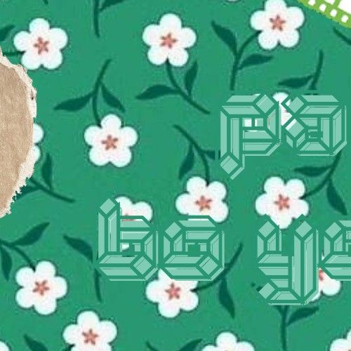 Recent activity shot of Park Boyoung