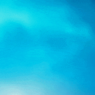 현빈 팬이 찍은 순간