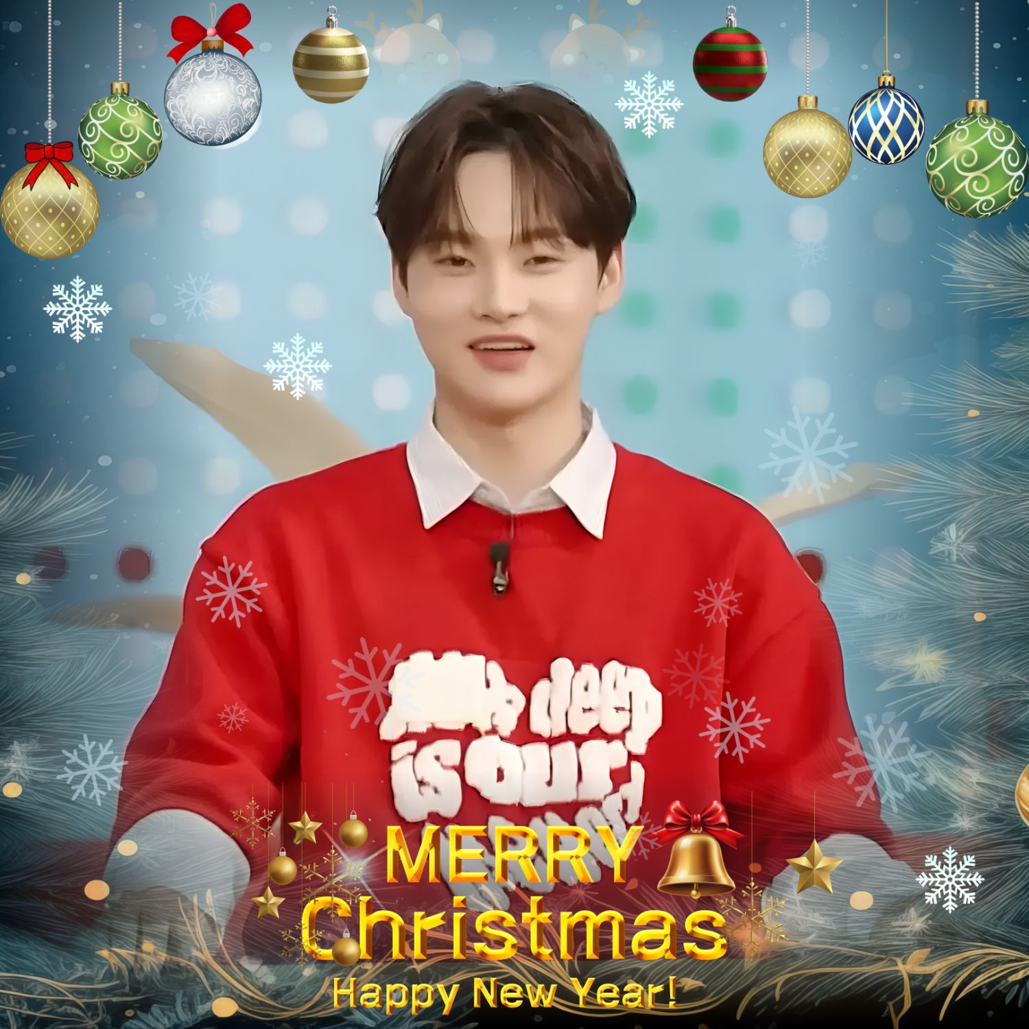 박서진 팬이 찍은 순간