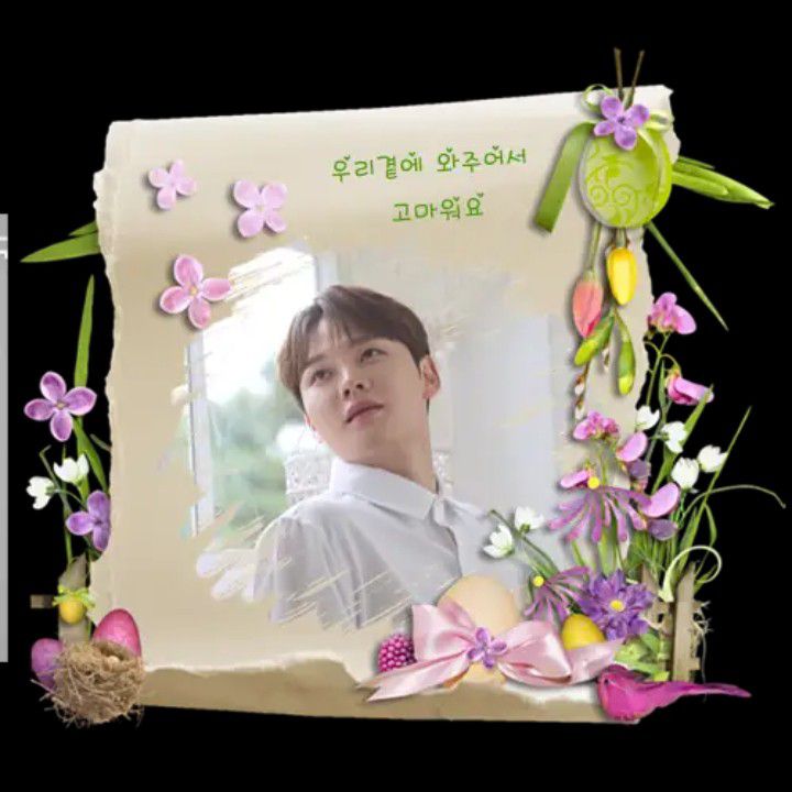 박서진 팬이 찍은 순간
