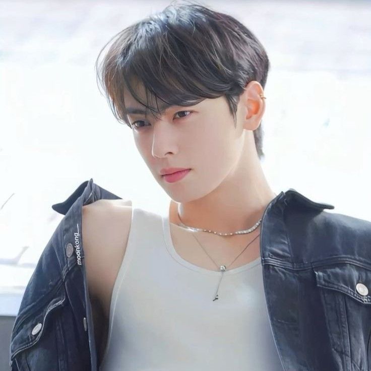 ファンが撮影したチャ・ウヌの瞬間