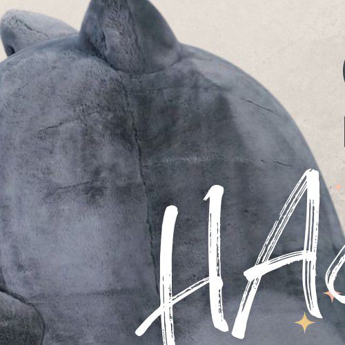 Behind-the-scenes cut of Shin Haesun