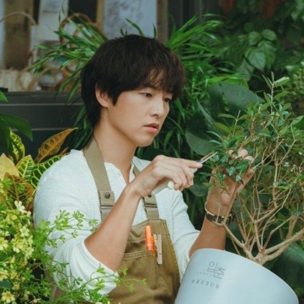 Recent activity shot of Song Joongki