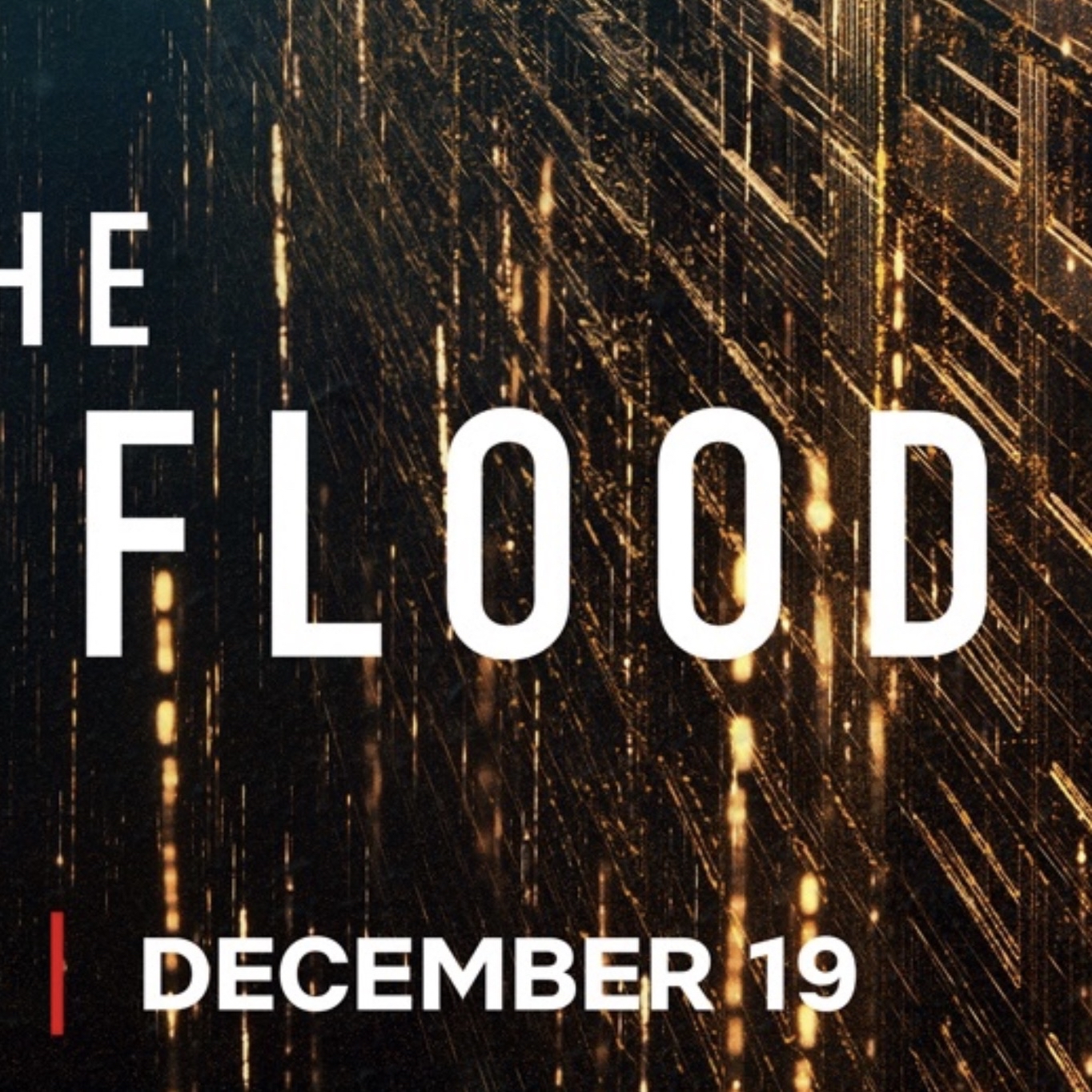 キム・ダミの最近の活動ショット