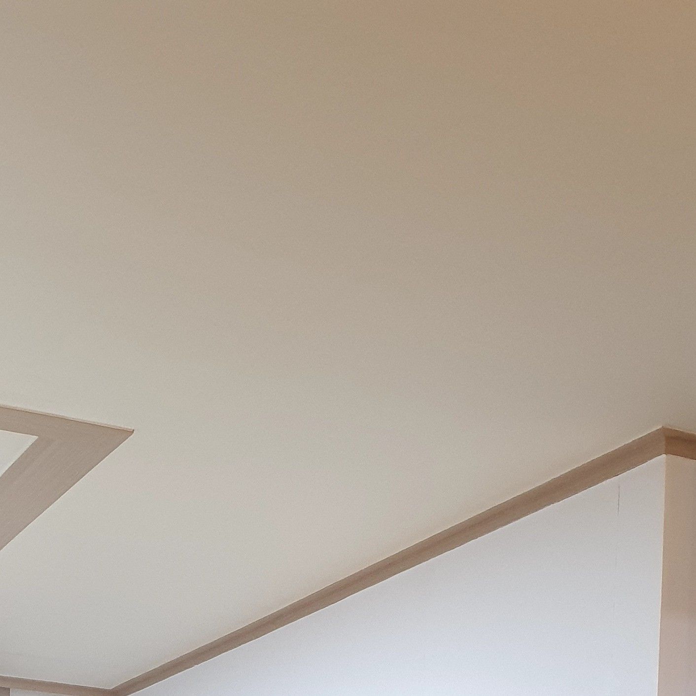 金浩中的近期活动照