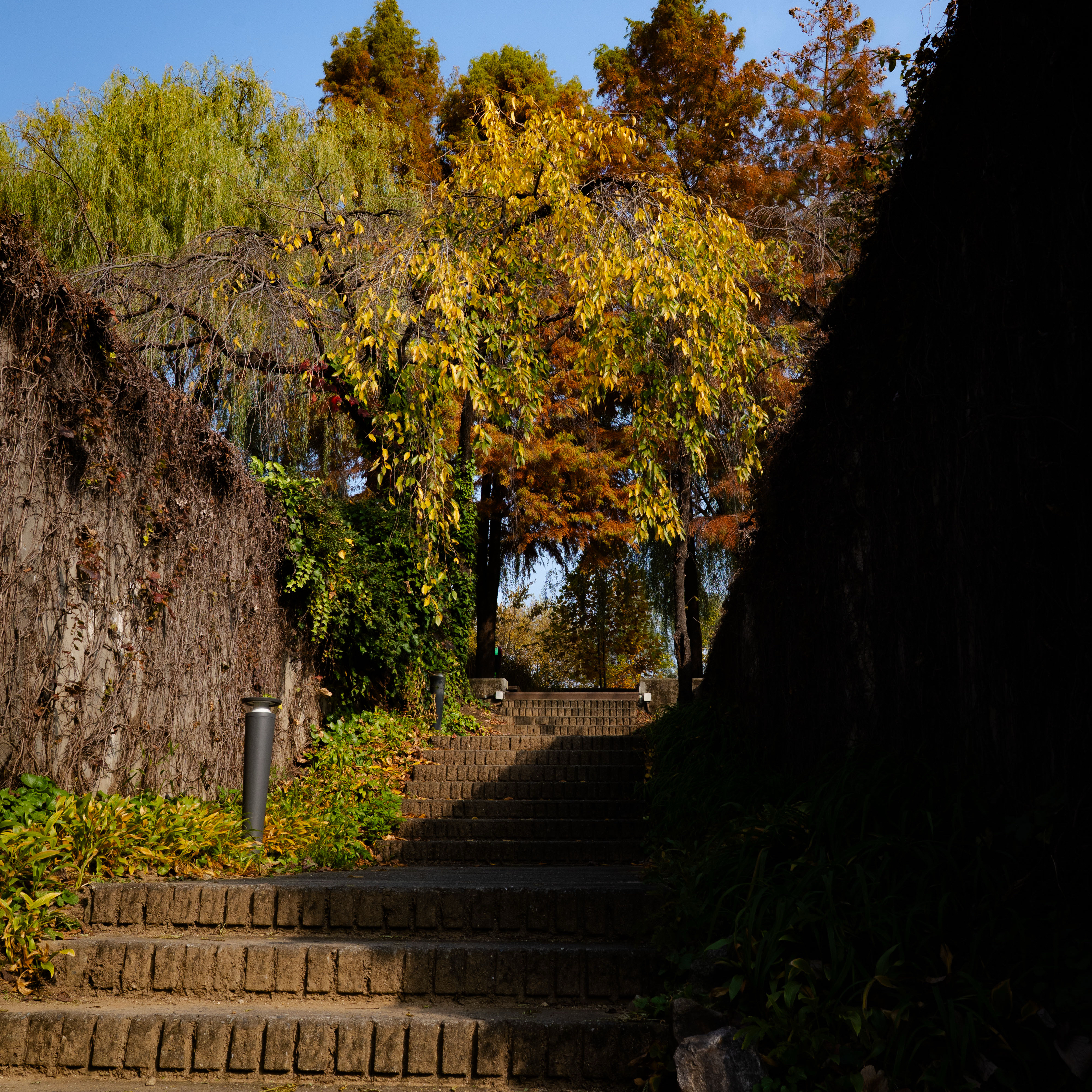 A moment captured by a fan of Kim Seonho