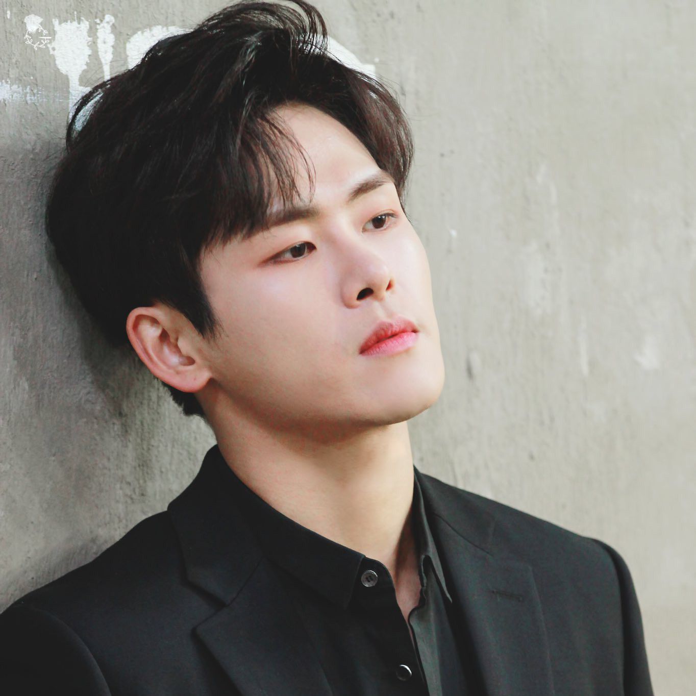 Recent activity shot of Hoya