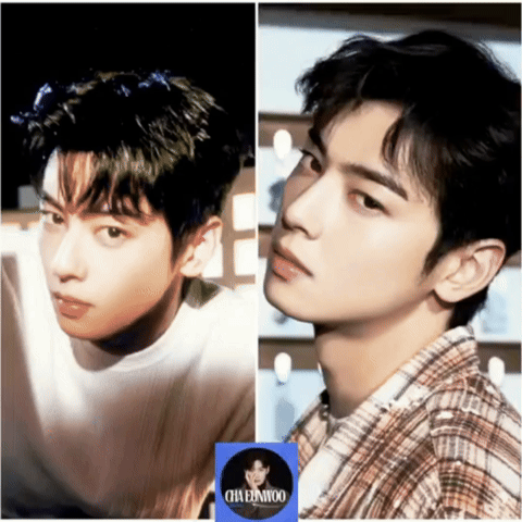 粉丝拍下的车银优瞬间