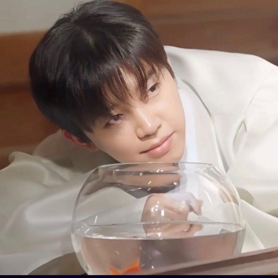 Foto kegiatan terbaru dari Lim Youngwoong