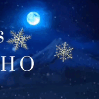 Recent activity shot of Kim Seonho