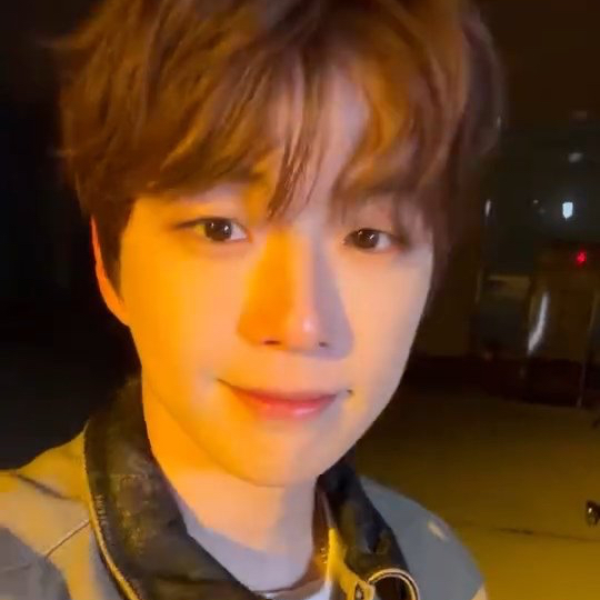 Recent activity shot of Secret Garden