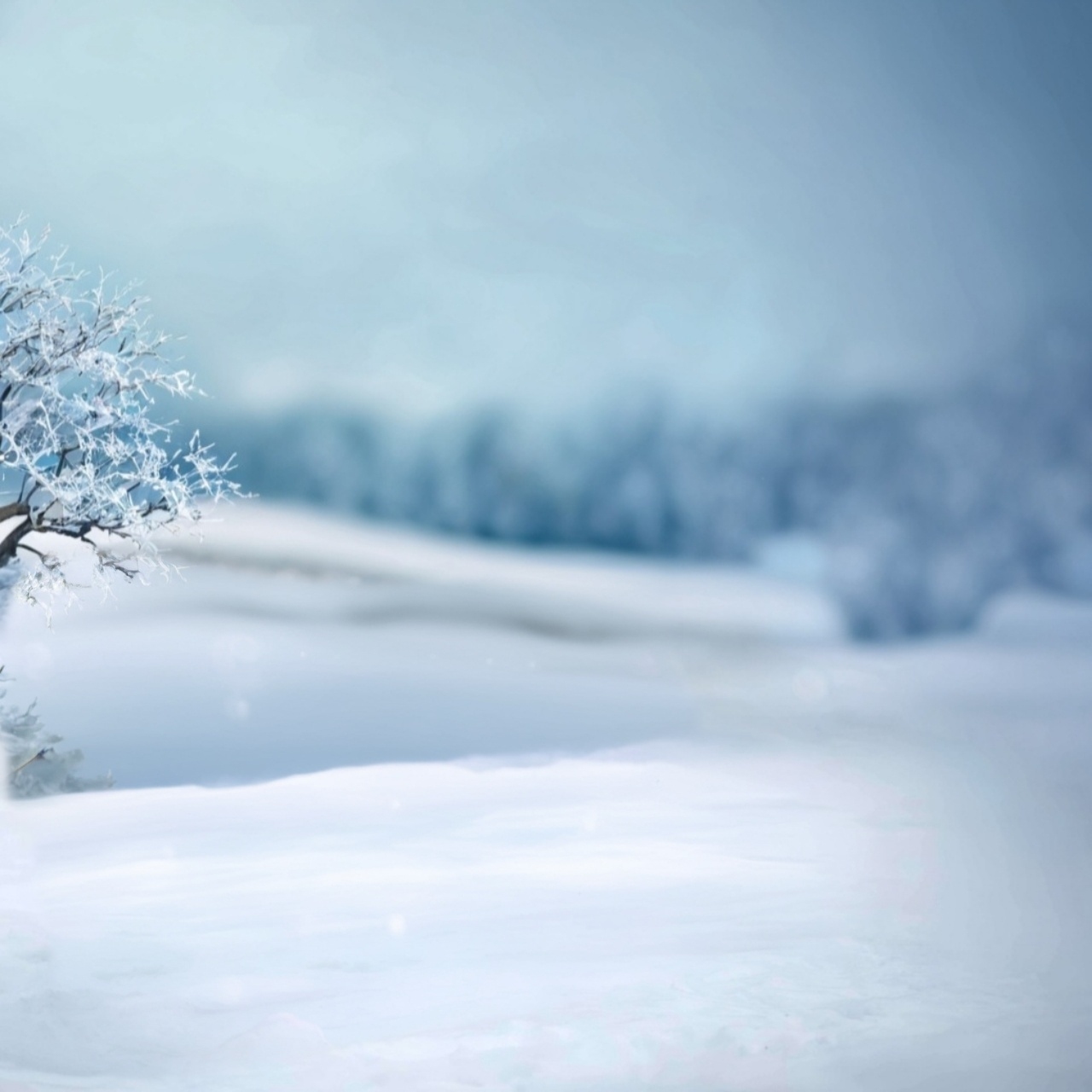 晉海成的幕後花絮