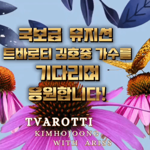 金浩中的最新照片