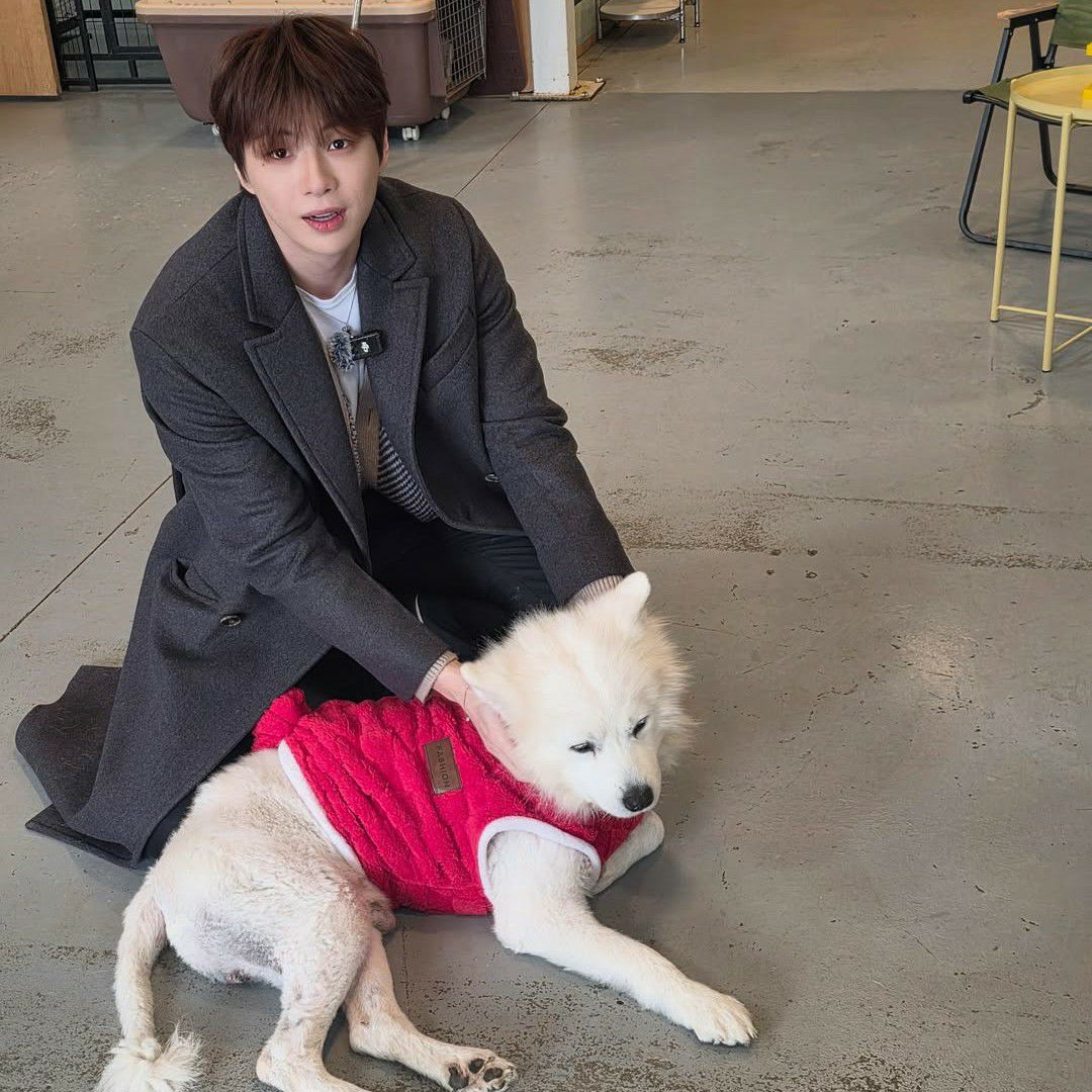 Latest photo of Secret Garden