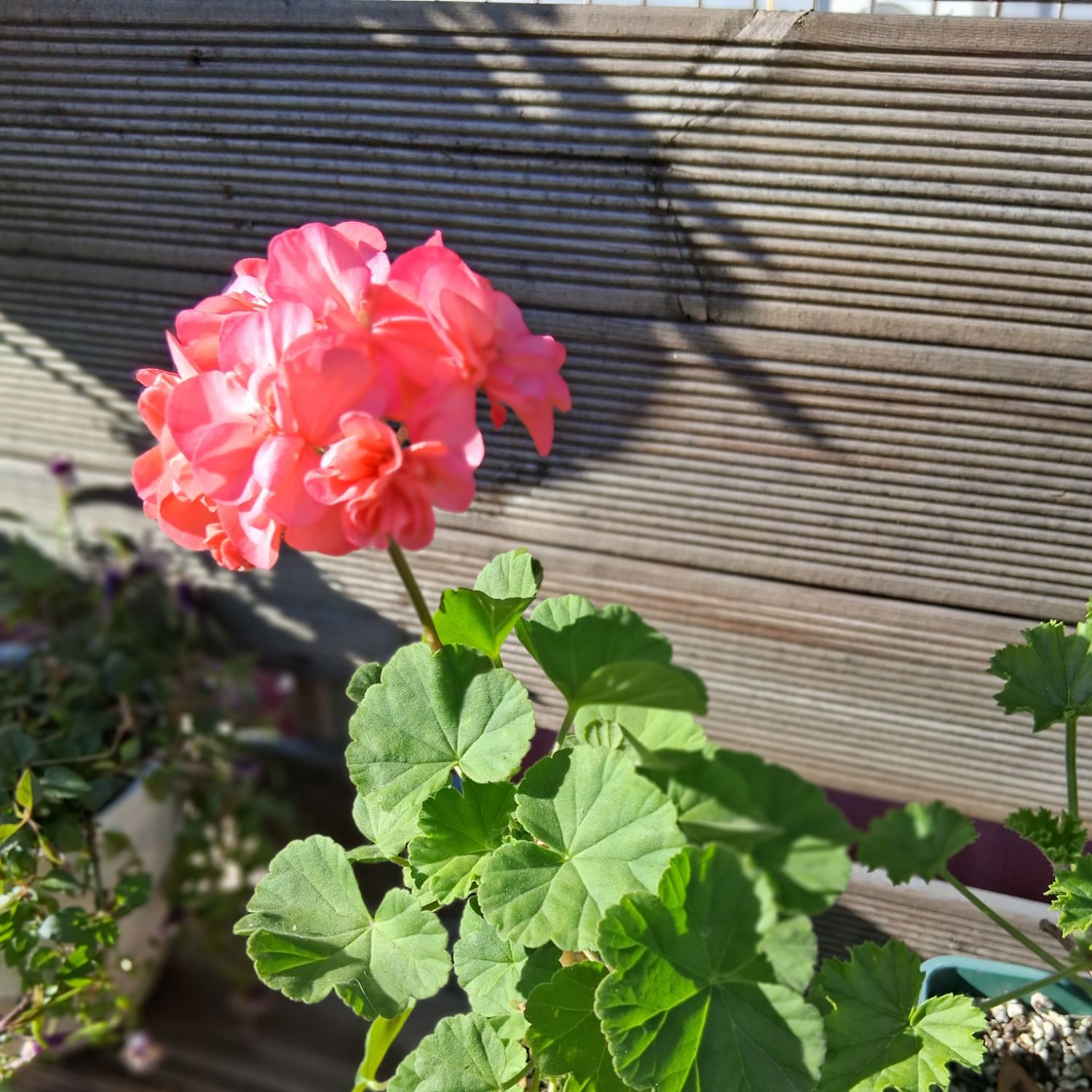 Kim Yongbin的最新照片