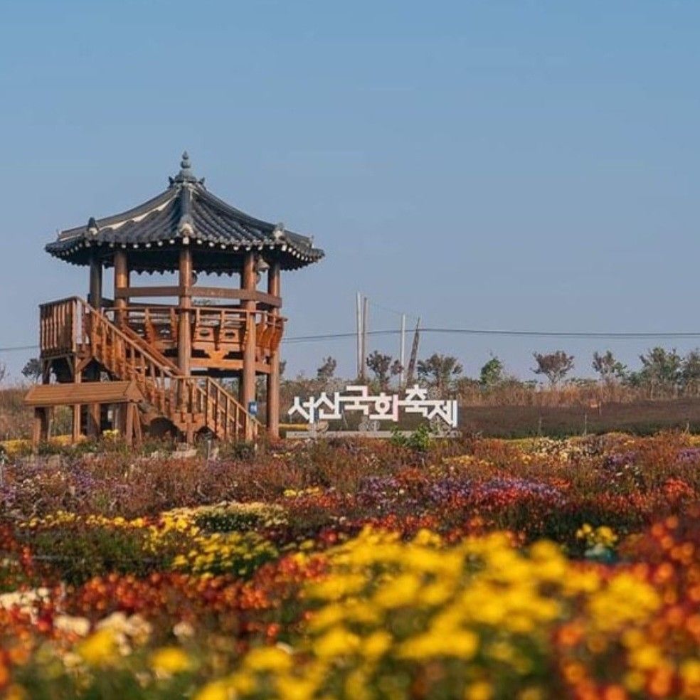 Recent activity shot of Kim Jungyeon