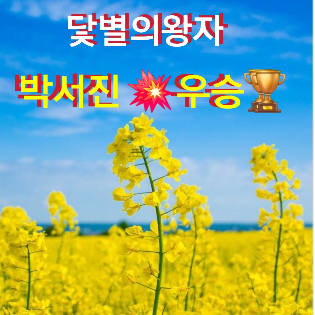 朴瑞鎮的近期活動照