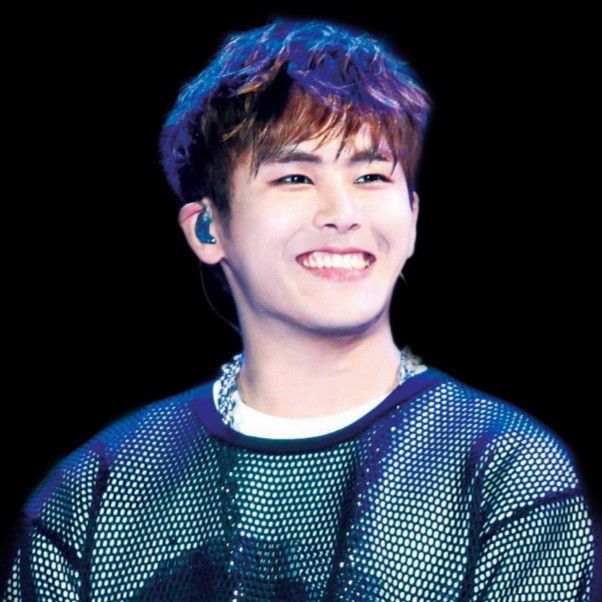 Recent activity shot of Hoya
