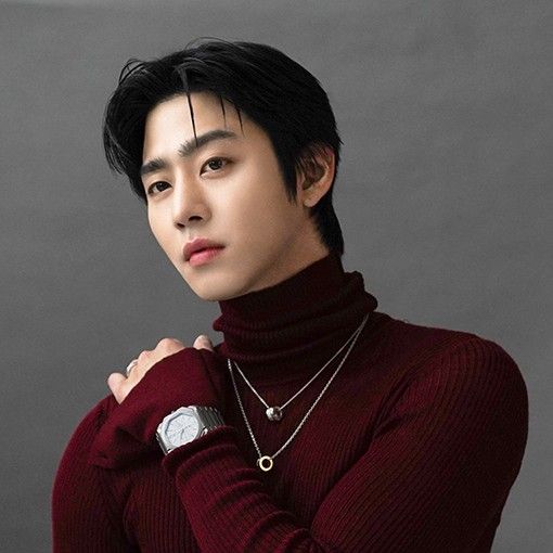 安孝燮的幕后花絮