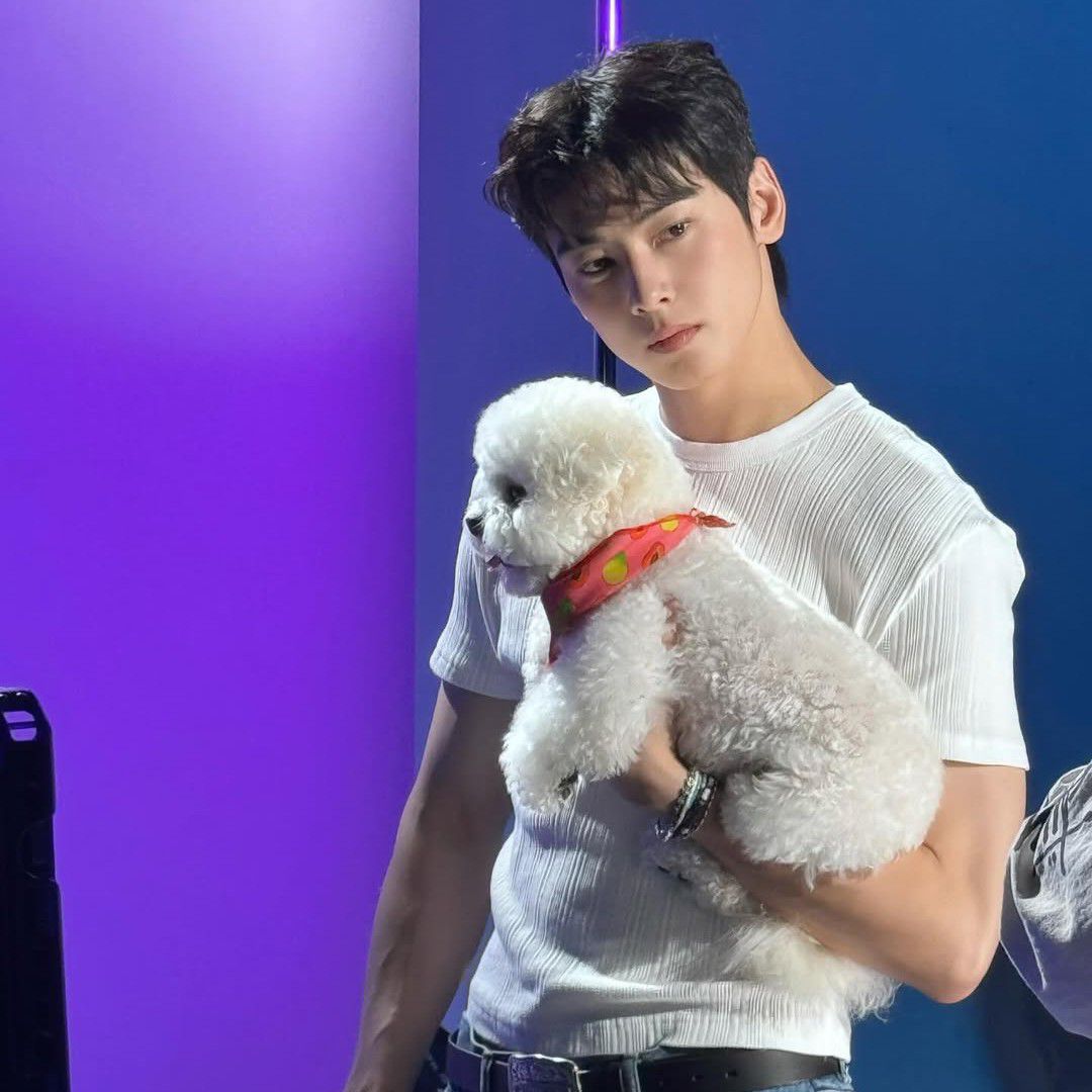 粉丝拍下的车银优瞬间