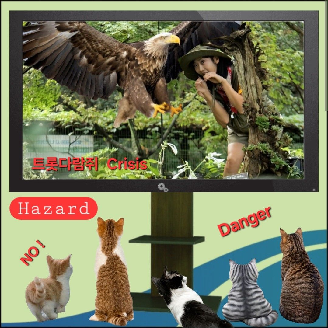 강혜연의 최신 사진