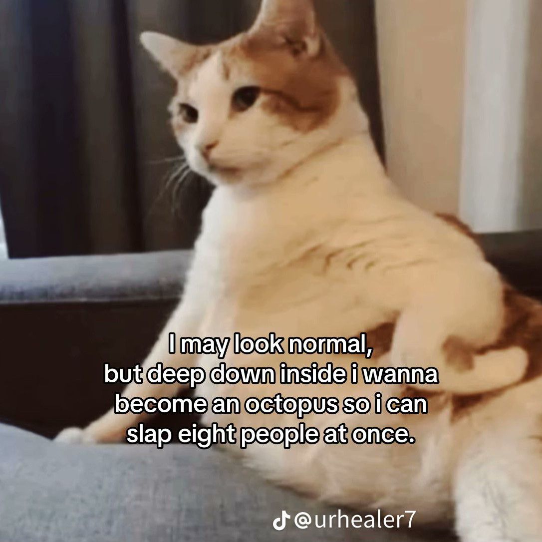 Foto terbaru dari IU