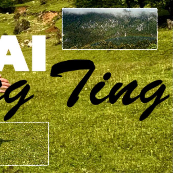 Recent activity shot of Bai Jingting