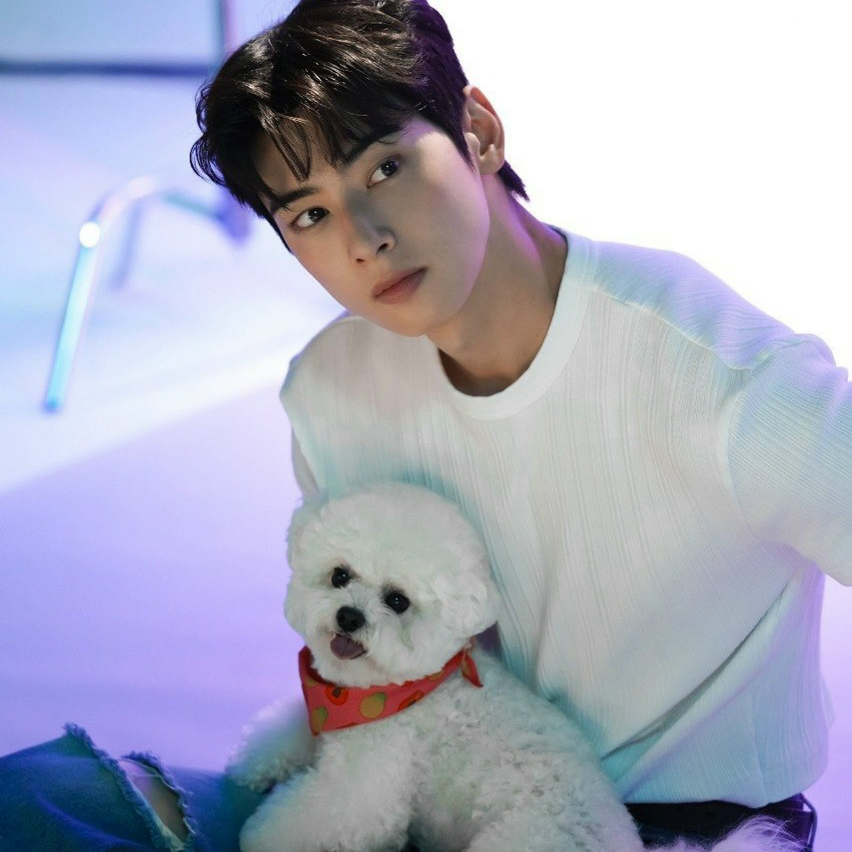 チャ・ウヌのビハインドカット