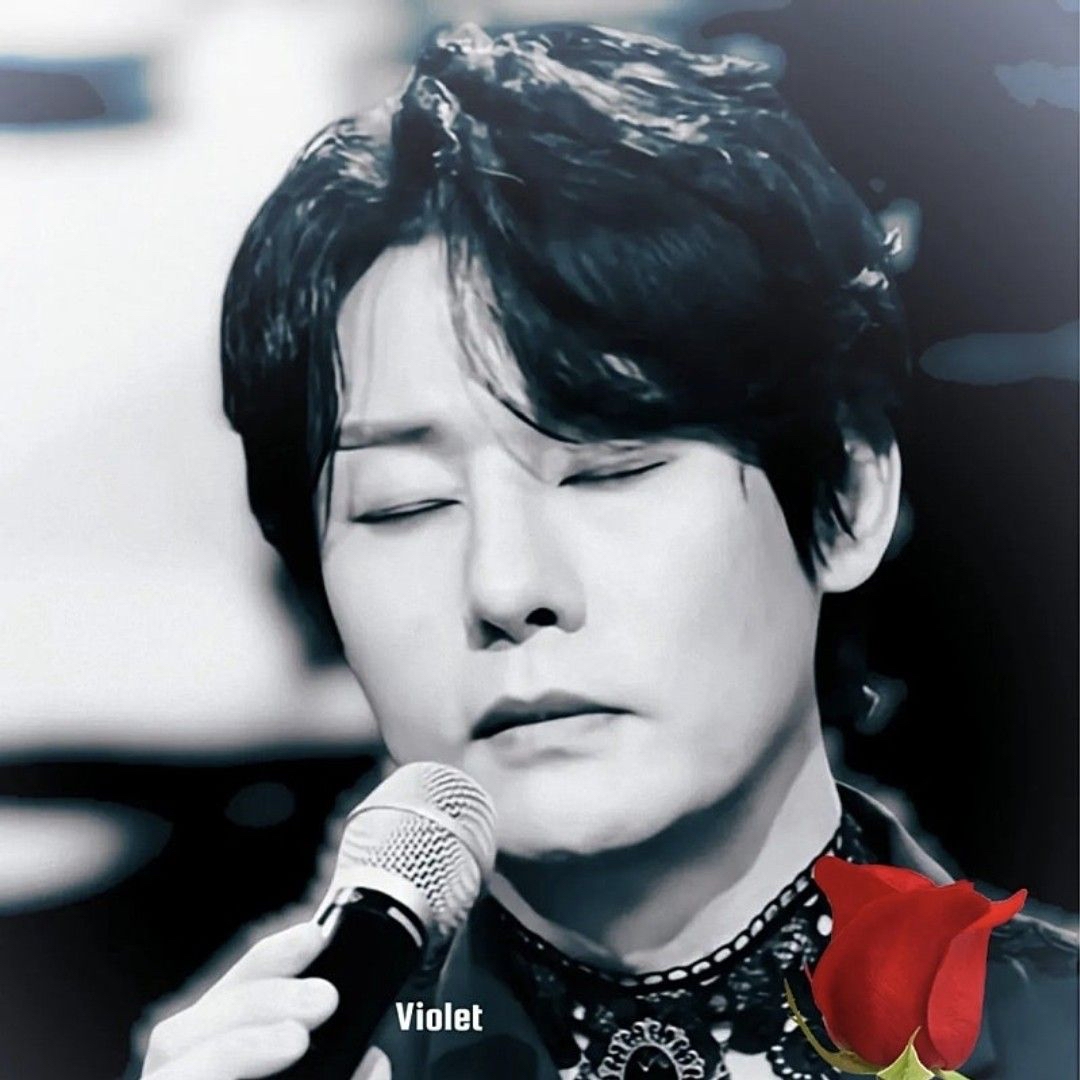 지금 주목받는 셀럽 게시글